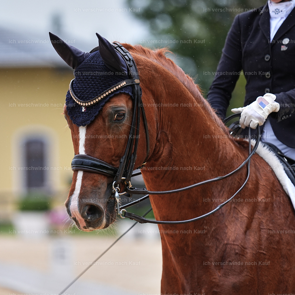 05-223-DRESSUR M_  -Marixx-4950 | working equitationturnier fotograf videograf stoibphotography marixx film working equitation deutschland reitsport turnierfotografie eventfotografie equestrian events