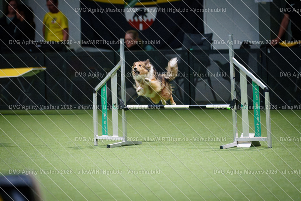 allesWIRTHgut_Tierfotografie-DVG_Agility_Masters_2026-14_19-7R504405 | Professionelle Tierfotografie in Mönchengladbach von Daniel Wirth (allesWIRTHgut). Liebevolle & natürliche Bilder von Hunden & Katzen für unvergessliche Erinnerungen.