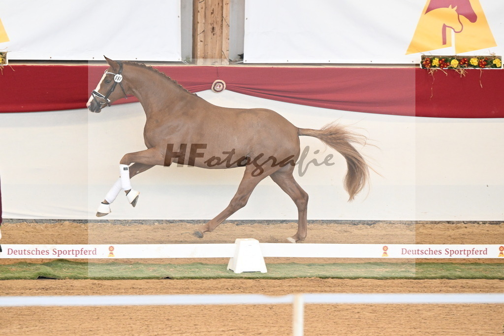 Kat.-Nr. 67 v. Iron_Reglauer_3260966 | hf-fotografie - Realisiert mit Pictrs.com