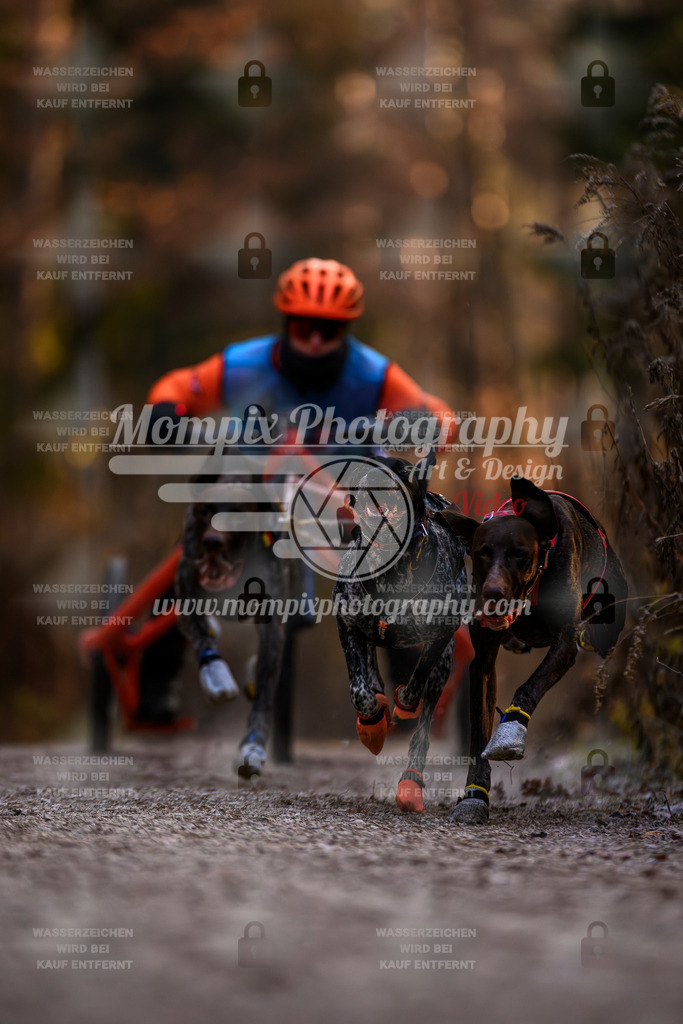 MompixPhotography_DM_AKDM_SO_2025_Wagen-37 | PayLife