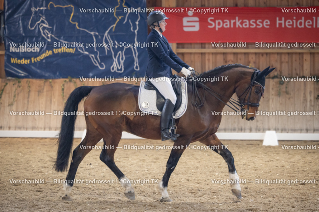 _D5A1998 | Emotionale Pferde- & People-Fotografie rund um Heidelberg, Leimen & Umgebung. Natürliche Fotos von Pferd, Mensch & Familie. Jetzt Termin sichern!