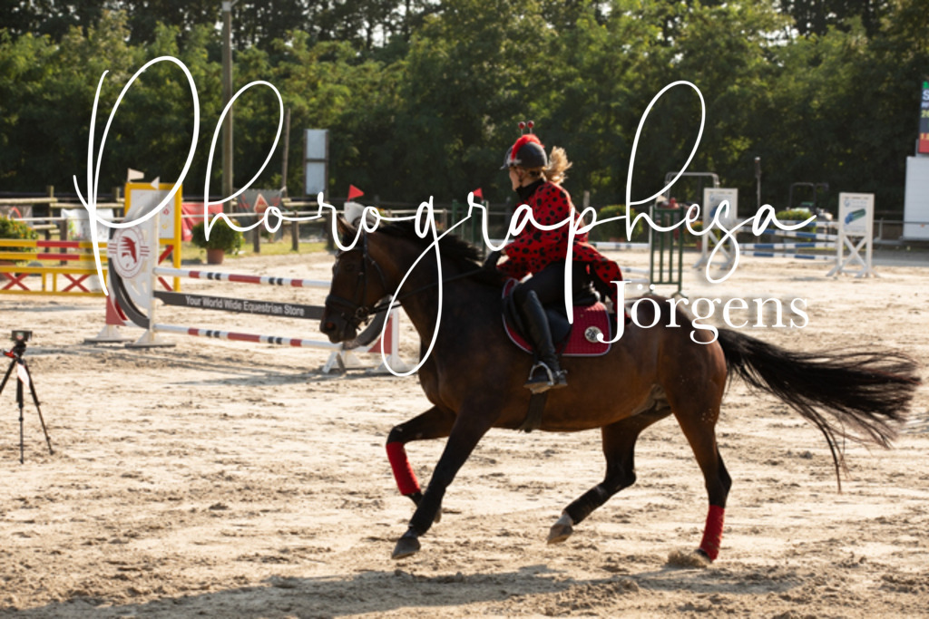 IMG_3505 | photographesa-joergens - Realisiert mit Pictrs.com