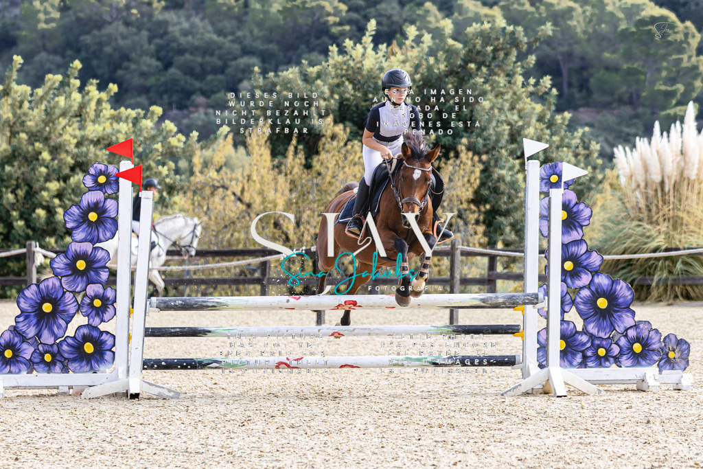 IMG_5597 | s-jay-photography - Realisiert mit Pictrs.com