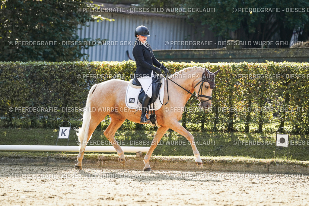 DSC05801 | Pferdegrafie