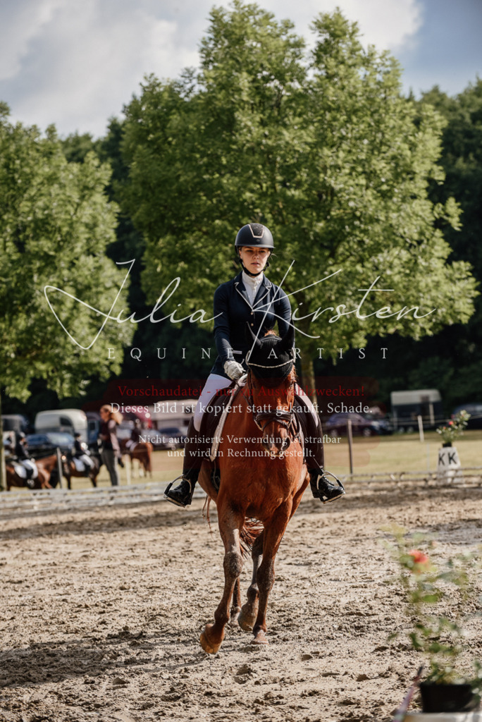 DSC_8916 | Pferde- und Turnierfotografie in Westsachsen. Pferdeportraits, Auftragszeichnungen und intuitive Kunst.