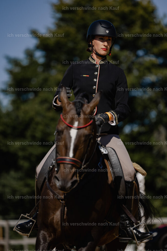 Virginie12FHC2025-27648 | working equitationturnier fotograf videograf stoibphotography marixx film working equitation deutschland reitsport turnierfotografie eventfotografie equestrian events