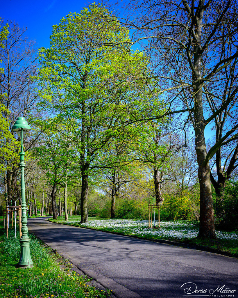 Frühling in Mainz am Rhein | Frühling in Mainz am Rhein
