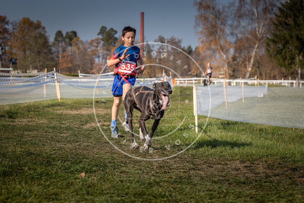CaniXpix_0L8A8891 | Hundefotografie, Tierfotograf, Pfotenfotografie, Fotoshooting Hund, Hunde Portrait, Hundesport, Hundeportraits, Heideshooting, Hunde, Sportfotograf, Hundefotograf, Turnierhundsport, THS,  - Realisiert mit Pictrs.com