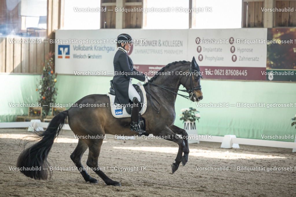 _D5A9493 | Emotionale Pferde- & People-Fotografie rund um Heidelberg, Leimen & Umgebung. Natürliche Fotos von Pferd, Mensch & Familie. Jetzt Termin sichern!