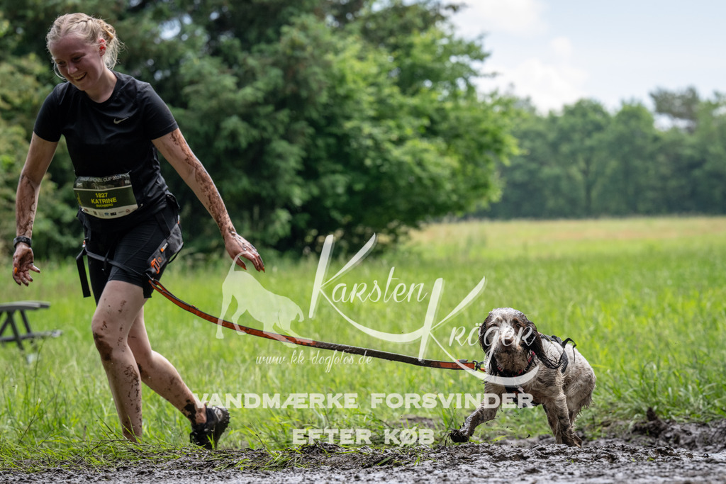 1112_ZZ91828 | kk-dogfotos