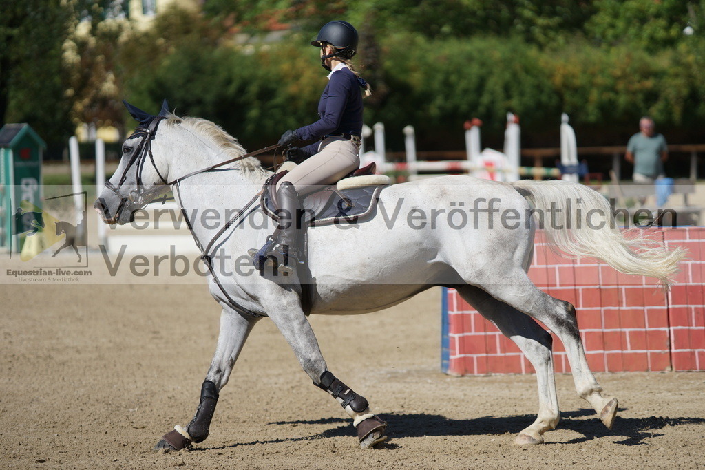 DSC07696 | equestrian-live-com