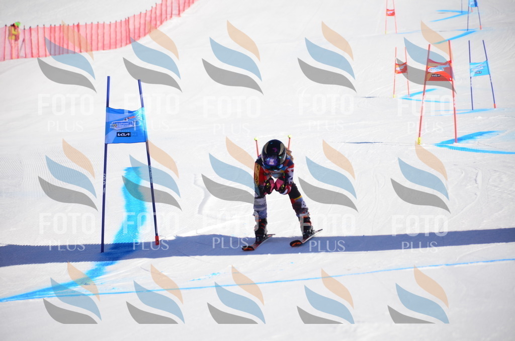 VR4_8346 | holidayphoto