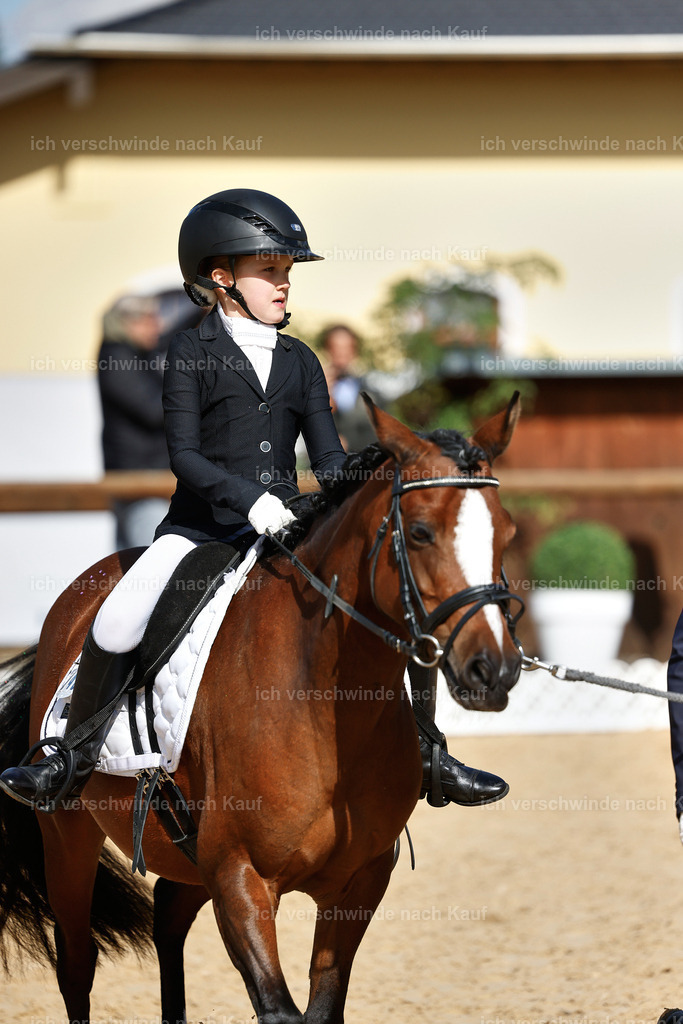 01--Ponyführzügel -StoibPH-6672 | working equitationturnier fotograf videograf stoibphotography marixx film working equitation deutschland reitsport turnierfotografie eventfotografie equestrian events