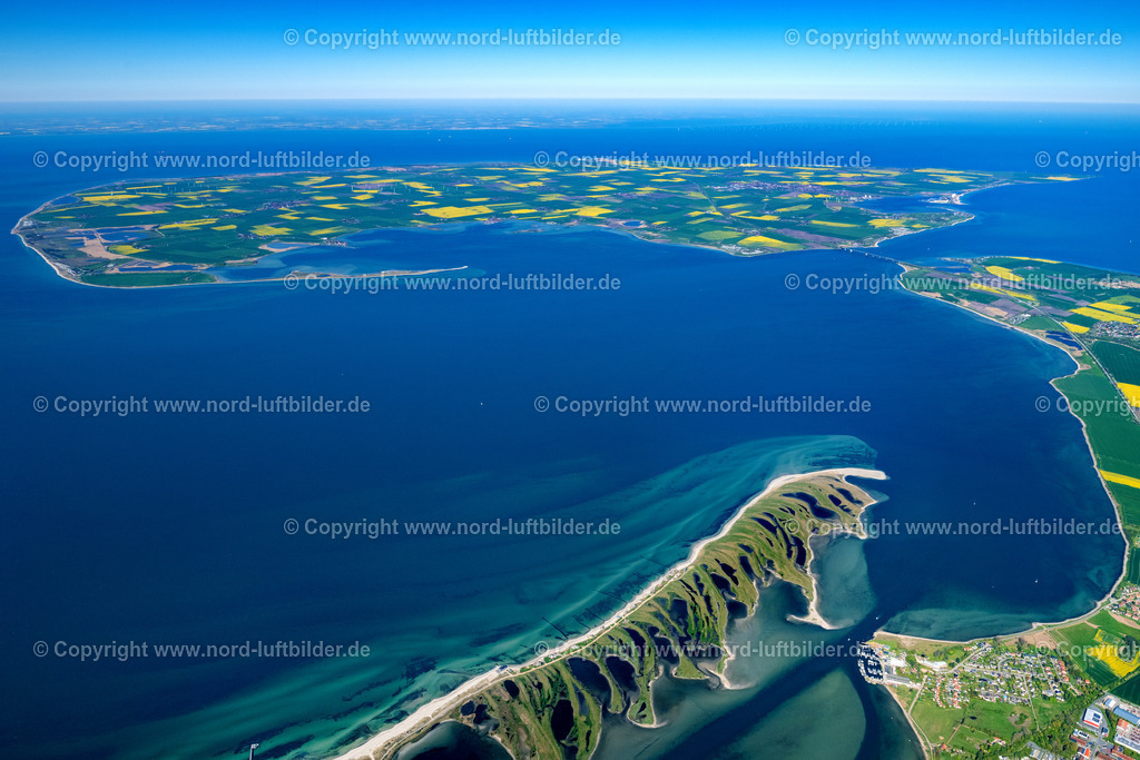Fehmarn_Graswarder_Heiligenhafen_ELS_7730080523 | HEILIGENHAFEN 08.05.2023 Küstenbereich mit sandiger Strand- und Gras- Landschaft der Halbinsel Graswarder-Heilgenhafen mit einigen Einfamilienhäusern in Großenbrode im Bundesland Schleswig-Holstein. Weiterführende Informationen bei: Stadt Heiligenhafen. // Coastal area of the peninsula Graswarder-Heilgenhafen with a few single- family houses at the beach in Grossenbrode in the state Schleswig-Holstein. Further information at: Stadt Heiligenhafen. Foto: Martin Elsen