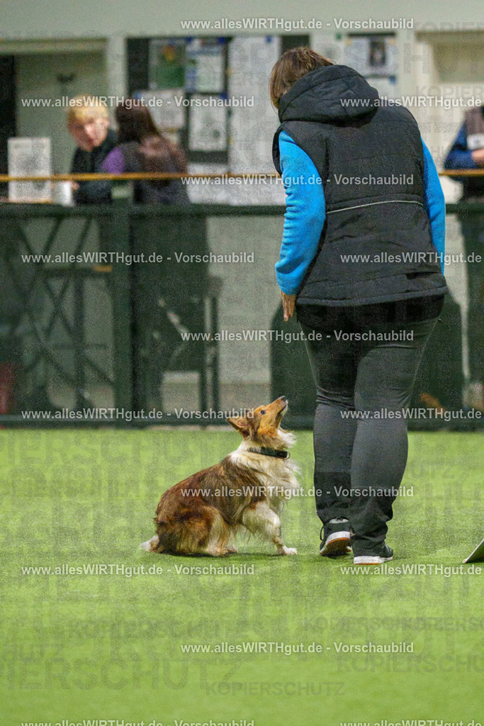 7R509148 | Professionelle Tierfotografie in Mönchengladbach von Daniel Wirth (allesWIRTHgut). Liebevolle & natürliche Bilder von Hunden & Katzen für unvergessliche Erinnerungen.