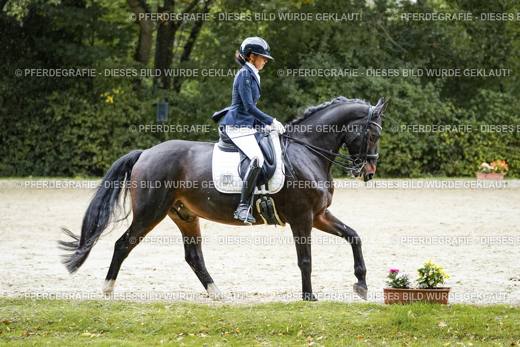 DSC00601 | Pferdegrafie