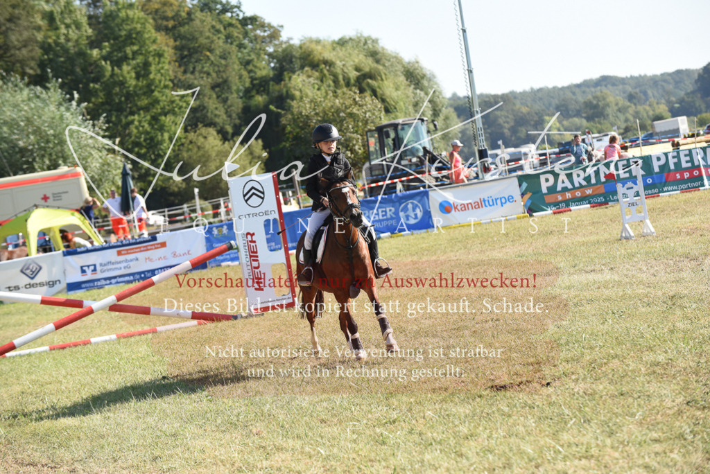 DSC_5769 | Pferde- und Turnierfotografie in Westsachsen. Pferdeportraits, Auftragszeichnungen und intuitive Kunst.