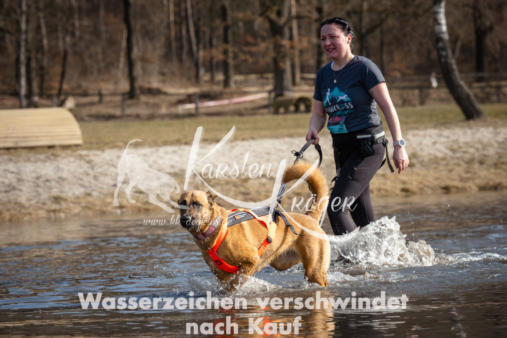 1156_ZZ97483 | kk-dogfotos