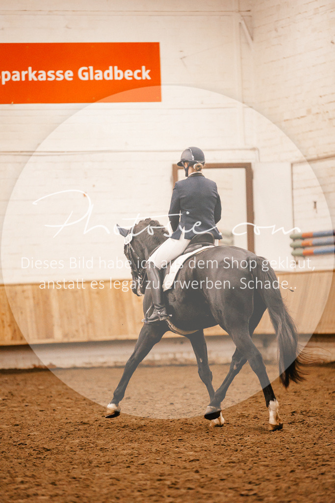 3I6A6730 | Stimmungsvolle Portraits und Reitsportfotografie im Ruhrgebiet und im Münsterland.

Pferdefotografie, Hundefotografie, Tierfotografie, Reportagen, Portraits von Tier und Mensch, Turnierfotografie in Bochum, Recklinghausen, Marl, Haltern am See, Dülmen.. - Realisiert mit Pictrs.com