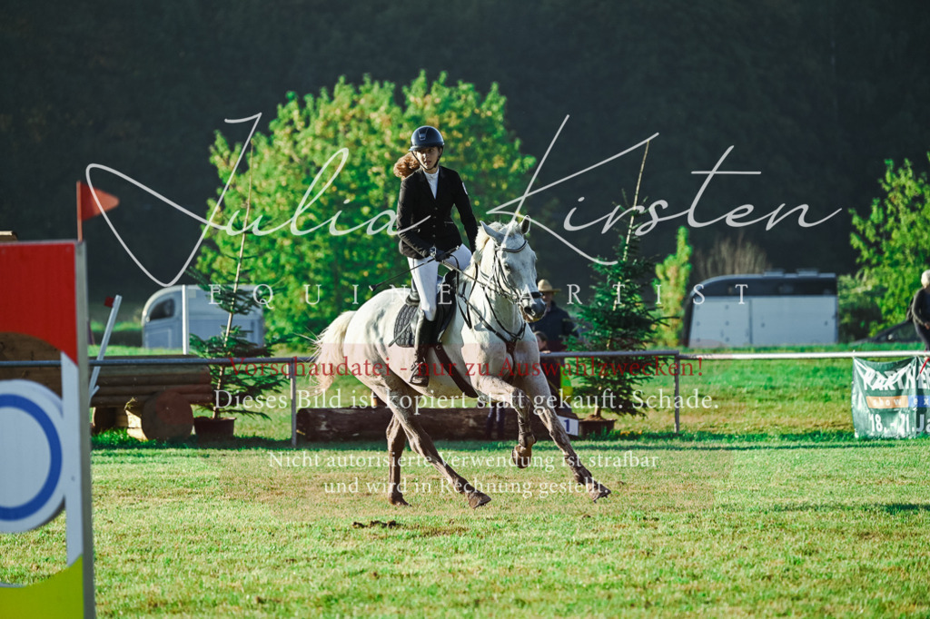 DSC_4048 | Pferde- und Turnierfotografie in Westsachsen. Pferdeportraits, Auftragszeichnungen und intuitive Kunst.