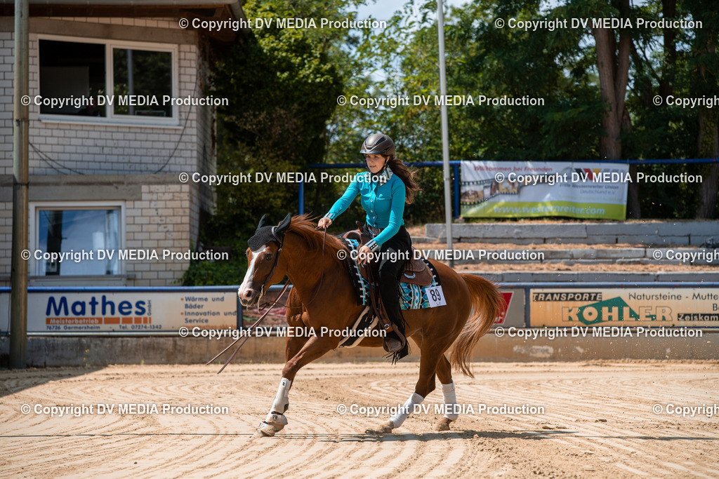 ZS3_9743 | dv-media-shop - Realisiert mit Pictrs.com