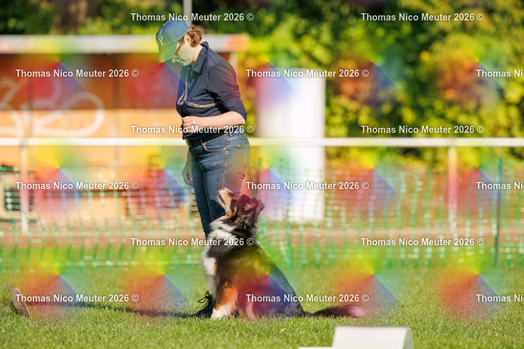 Thomas_Nico_Meuter(C)_04. Oktober 2026_223A0991 | Bild von Thomas Nico Meuter - Realisiert mit Pictrs.com