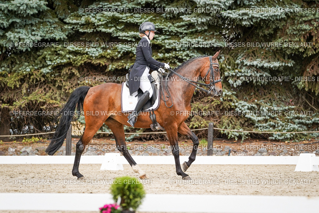 DSC05570 | Pferdegrafie