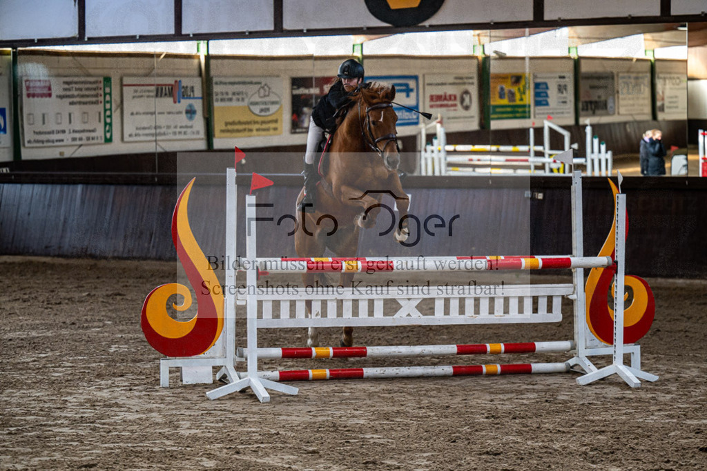 20240308-DOS_3512 | Entdecke hochwertige Reitturnierfotos von Foto Oger. Professionell, emotional und authentisch – jetzt Lieblingsmomente im Shop bestellen.Deutschlandweite Turnierfotografie. - Realisiert mit Pictrs.com