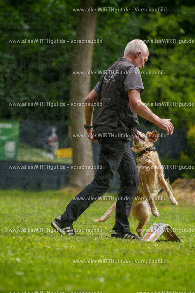 @allesWIRTHgut_Tierfotografie - www.allesWIRTHgut.de - 093307-7R507308 | Professionelle Tierfotografie in Mönchengladbach von Daniel Wirth (allesWIRTHgut). Liebevolle & natürliche Bilder von Hunden & Katzen für unvergessliche Erinnerungen.