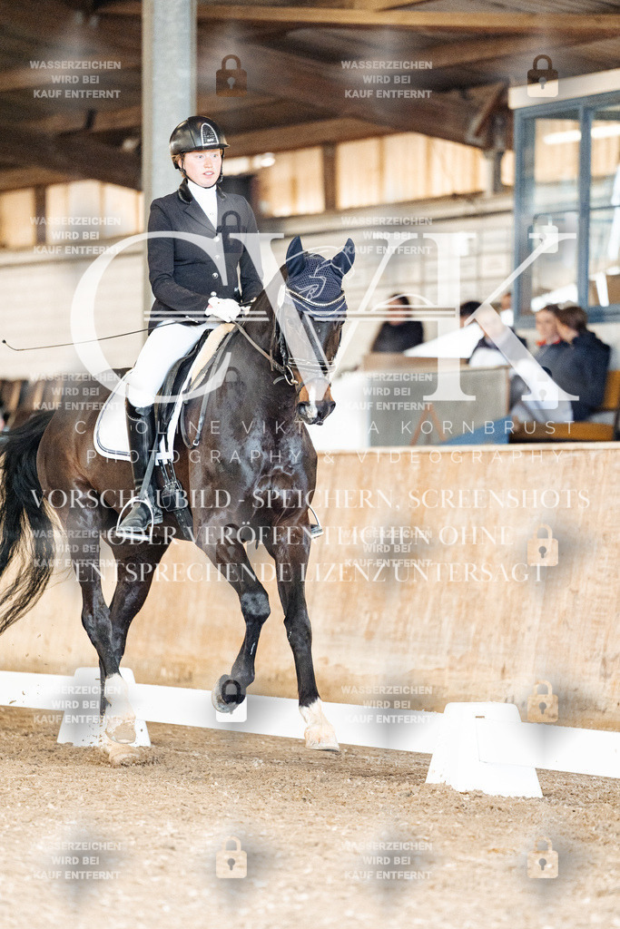 CK901206 | Turnierfotografie Pferdefotografie Trier Rheinland-Pfalz Pferdesport Reitsport Tierfotografie Sportfotografie Pferdevideo Pferdevideografie Equestrianvideography equestrianphotography  - Realized with Pictrs.com