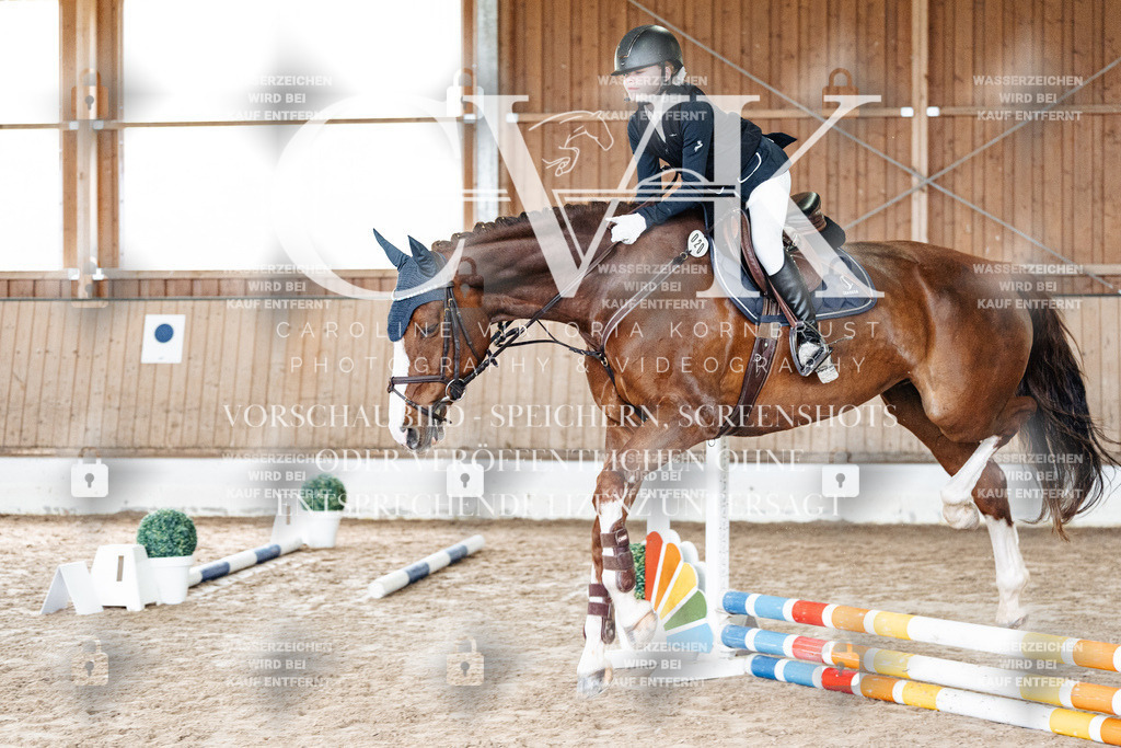 CK902607 | Turnierfotografie Pferdefotografie Trier Rheinland-Pfalz Pferdesport Reitsport Tierfotografie Sportfotografie Pferdevideo Pferdevideografie Equestrianvideography equestrianphotography  - Realisiert mit Pictrs.com