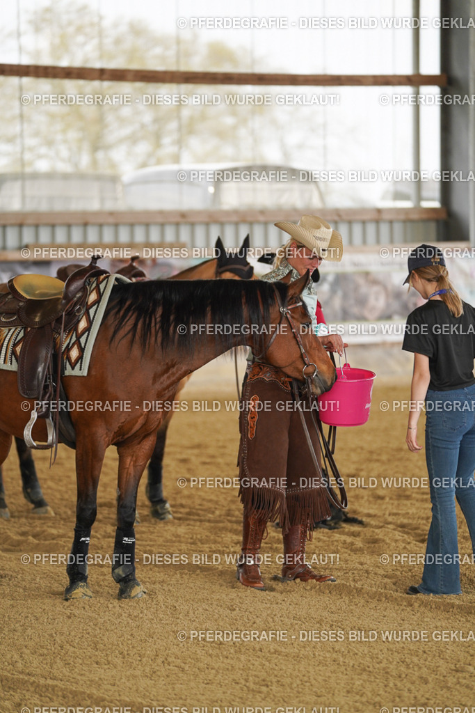 DSC06778 | Pferdegrafie