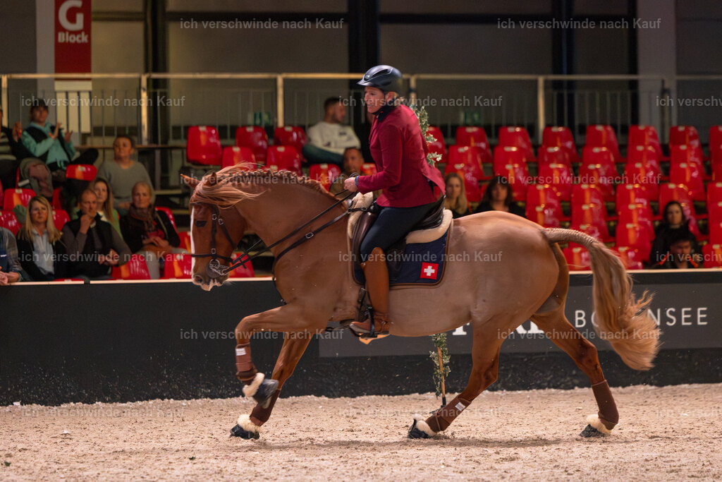 JoseraCup-155 | working equitationturnier fotograf videograf stoibphotography marixx film working equitation deutschland reitsport turnierfotografie eventfotografie equestrian events