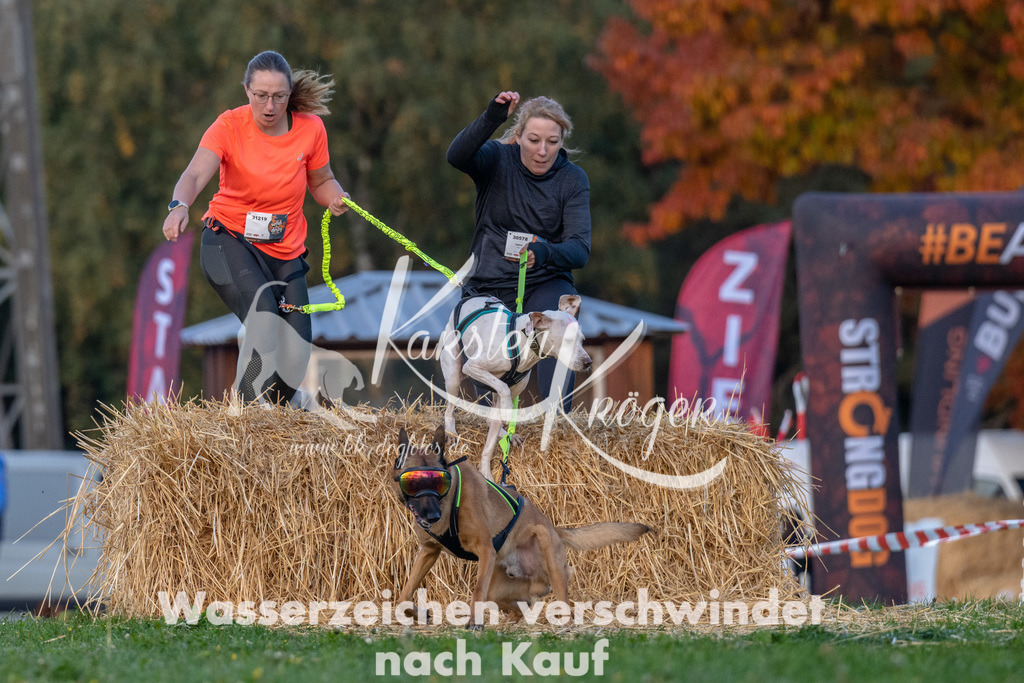0843_ZZ91217 | kk-dogfotos