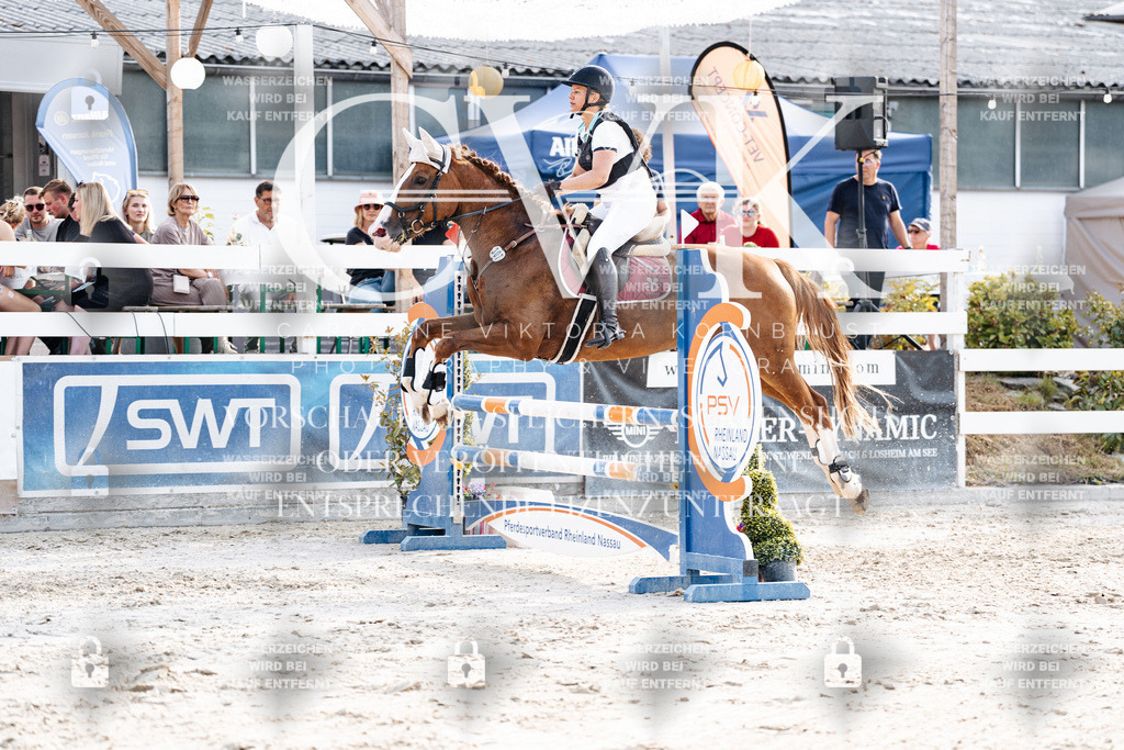 CK906687 | Turnierfotografie Pferdefotografie Trier Rheinland-Pfalz Pferdesport Reitsport Tierfotografie Sportfotografie Pferdevideo Pferdevideografie Equestrianvideography equestrianphotography  - Realisiert mit Pictrs.com