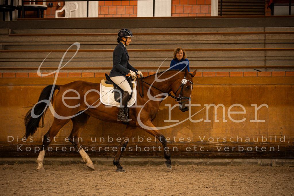 2Reiten00352 | Leoni Ertmer Photography - Realisiert mit Pictrs.com