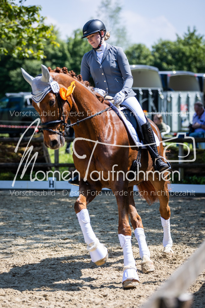 Donop24-L-Dre-146 | MomenTaufnahmen Pferdesportfotos