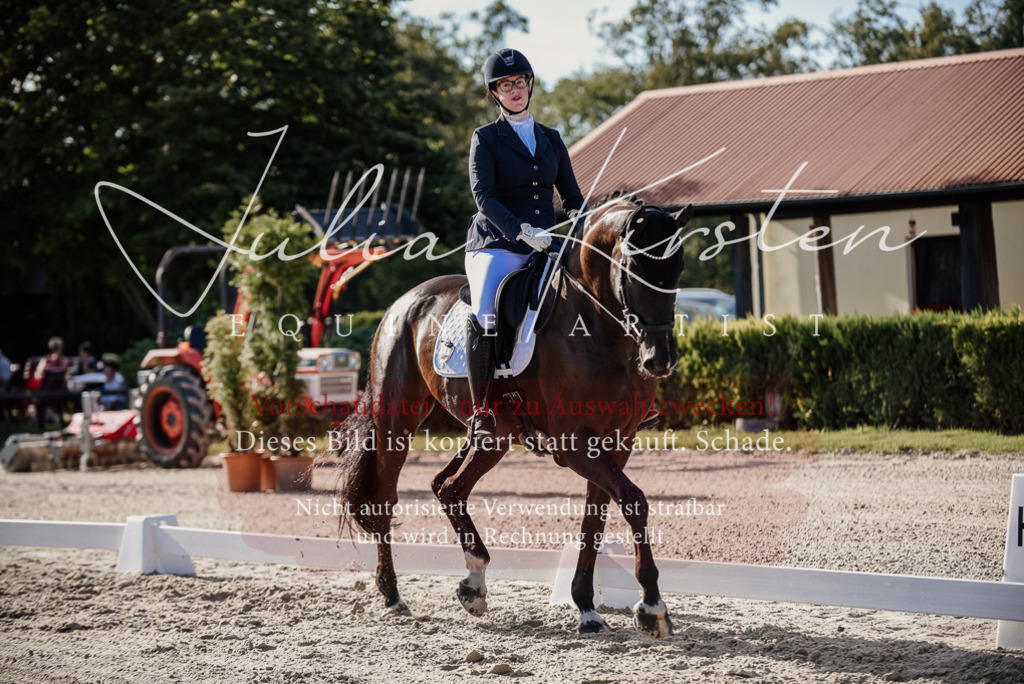 DSC_0551 | Pferde- und Turnierfotografie in Westsachsen. Pferdeportraits, Auftragszeichnungen und intuitive Kunst.
