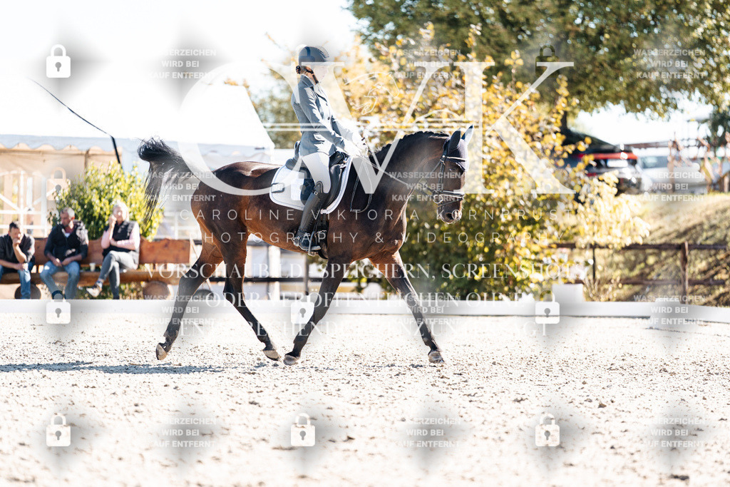 CK908794 | Turnierfotografie Pferdefotografie Trier Rheinland-Pfalz Pferdesport Reitsport Tierfotografie Sportfotografie Pferdevideo Pferdevideografie Equestrianvideography equestrianphotography  - Realisiert mit Pictrs.com