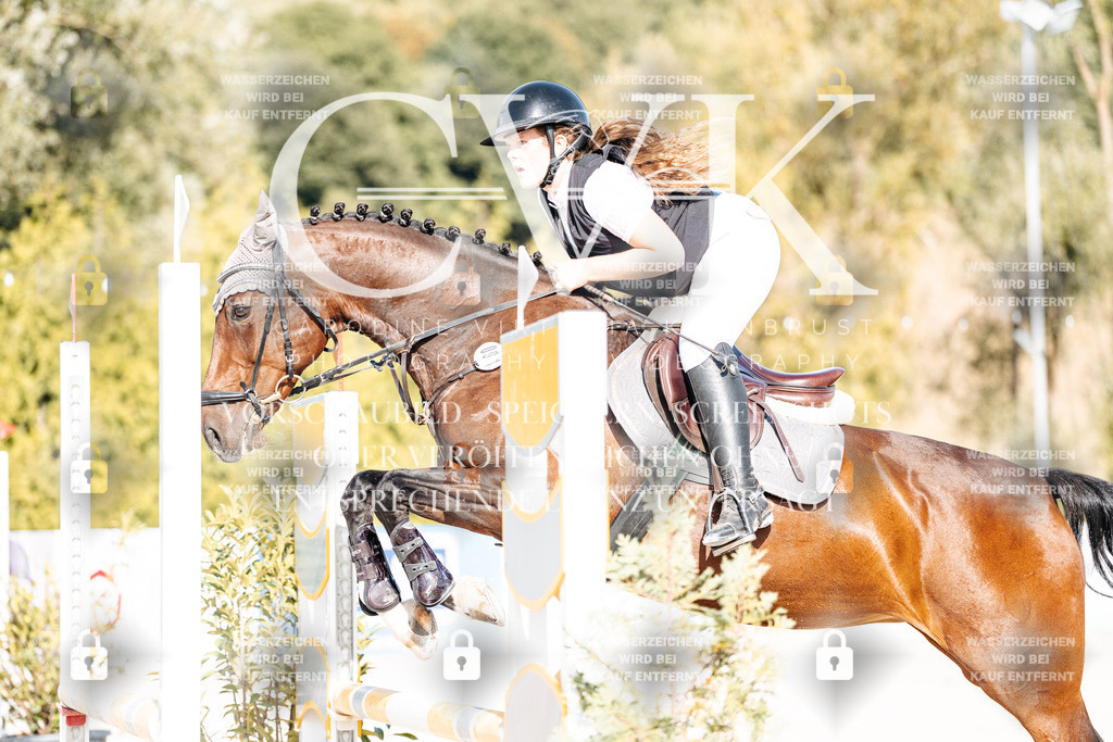 CK909290 | Turnierfotografie Pferdefotografie Trier Rheinland-Pfalz Pferdesport Reitsport Tierfotografie Sportfotografie Pferdevideo Pferdevideografie Equestrianvideography equestrianphotography  - Realisiert mit Pictrs.com