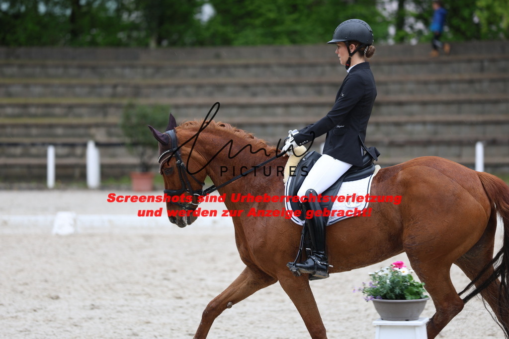 A40A9557 | lmwpictures - Realisiert mit Pictrs.com