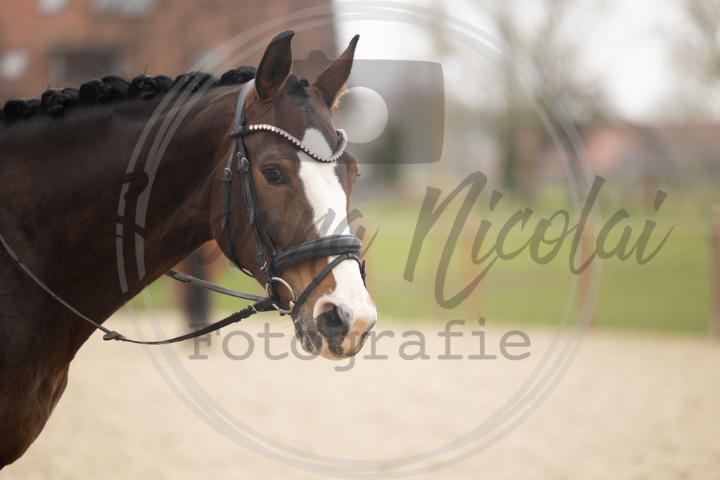 994A8689 | sabrinanicolaifotografie - Realisiert mit Pictrs.com