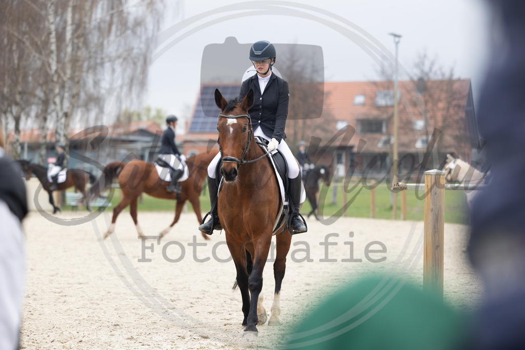 994A8558 | sabrinanicolaifotografie - Realisiert mit Pictrs.com