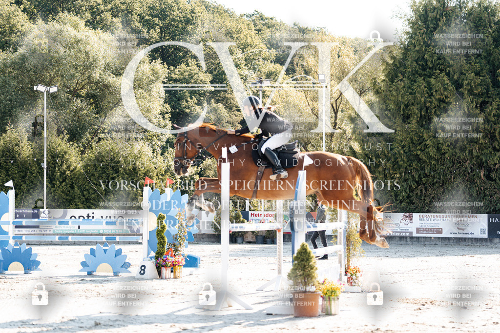 CK901688 | Turnierfotografie Pferdefotografie Trier Rheinland-Pfalz Pferdesport Reitsport Tierfotografie Sportfotografie Pferdevideo Pferdevideografie Equestrianvideography equestrianphotography  - Realisiert mit Pictrs.com