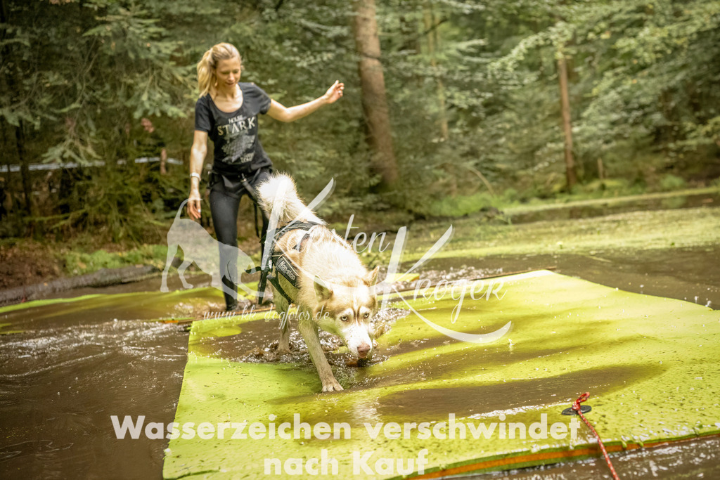 1424_ZZ92260-Bearbeitet | kk-dogfotos
