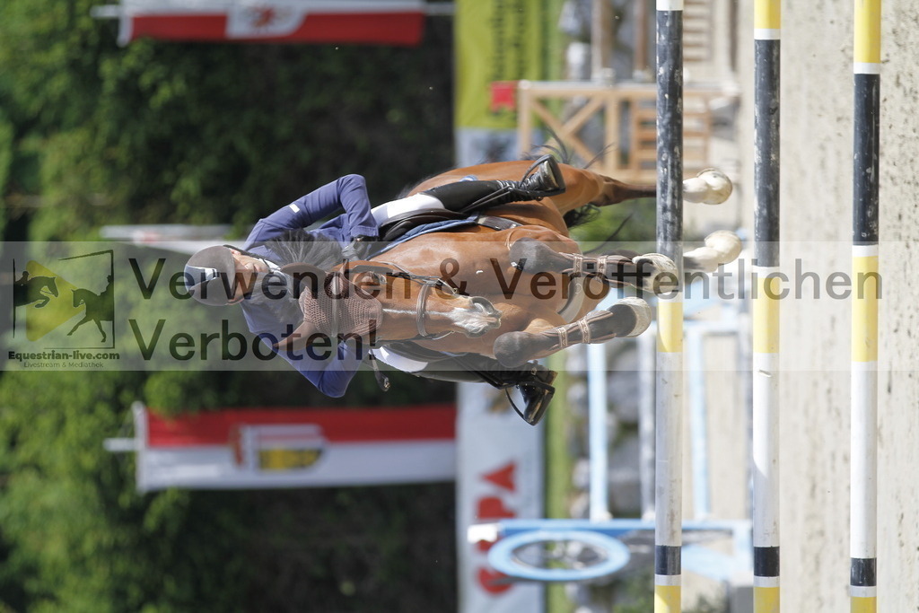 _MG_8717 | equestrian-live-com