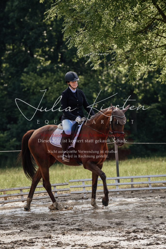 DSC_9218 | Pferde- und Turnierfotografie in Westsachsen. Pferdeportraits, Auftragszeichnungen und intuitive Kunst.