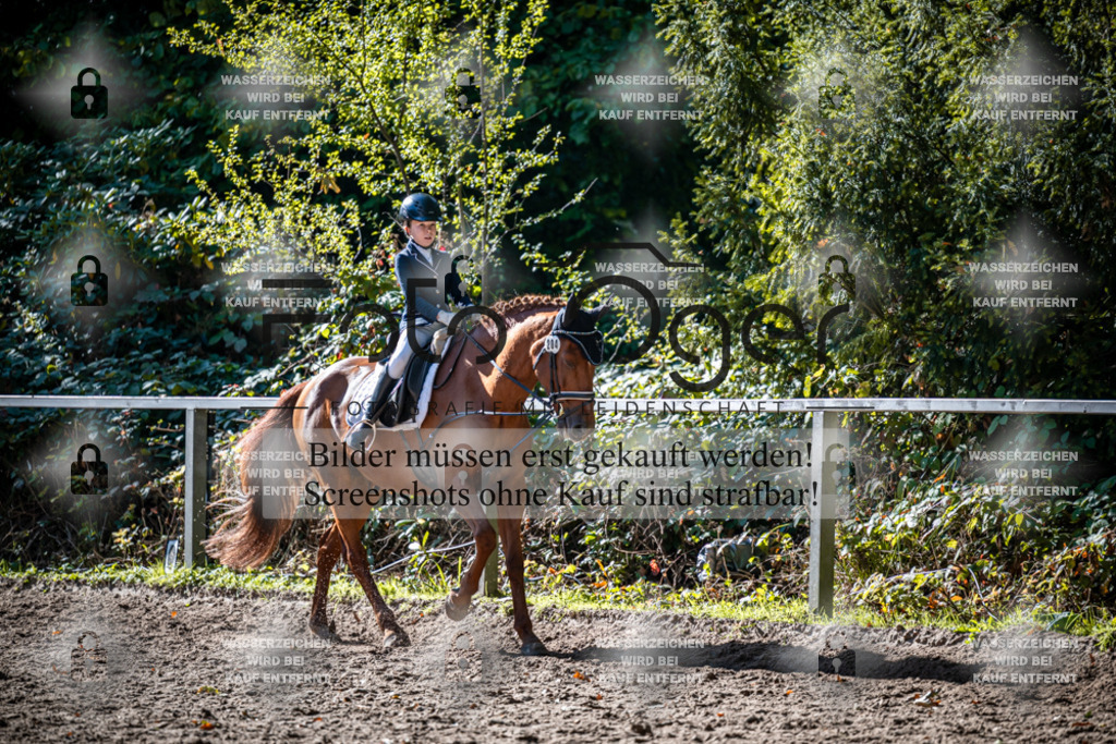 2026-10-Helle-20-4-0020 | Entdecke hochwertige Reitturnierfotos von Foto Oger. Professionell, emotional und authentisch – jetzt Lieblingsmomente im Shop bestellen.Deutschlandweite Turnierfotografie. - Realisiert mit Pictrs.com