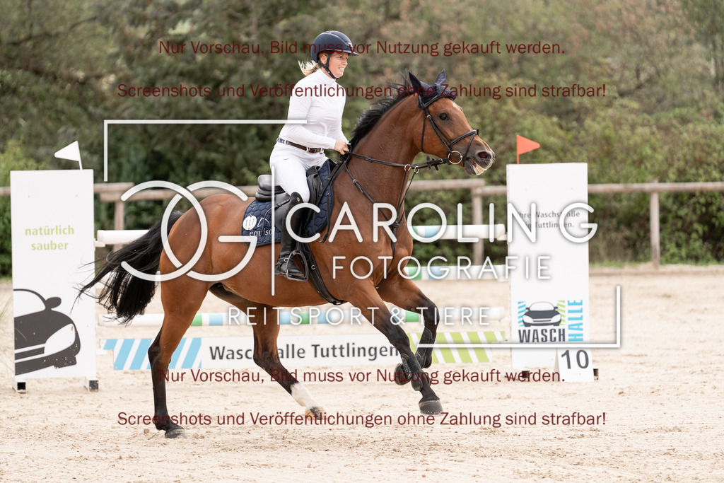 DSC06773 | Springturnier_Teamchallege_Talheim_2026, Clarissa_Schwär, Cranberry_19
