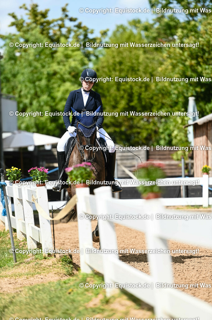 20230716_01_Dressurprüfung Kl.M_0291 | equistock